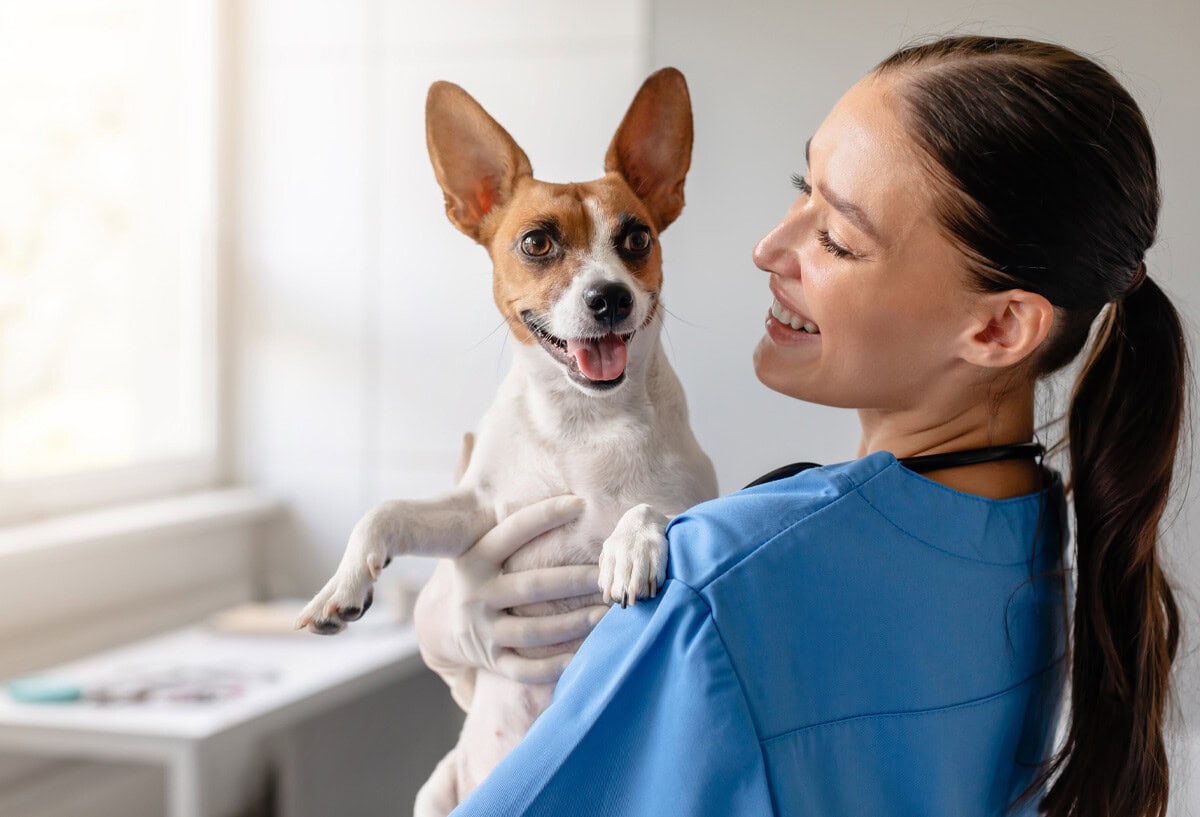 vet-holds-happy-dog-for-checkup-resized-web Happy vet and happy dog