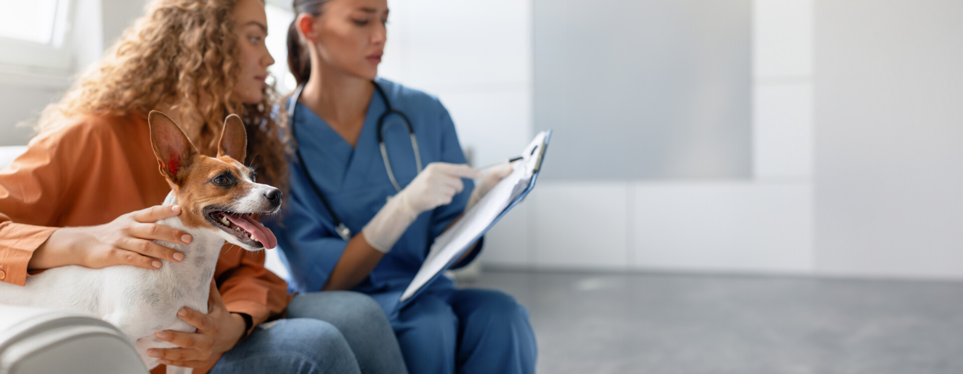 Vet records notes as owner comforts dog
